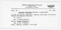 Puccinia recondita image
